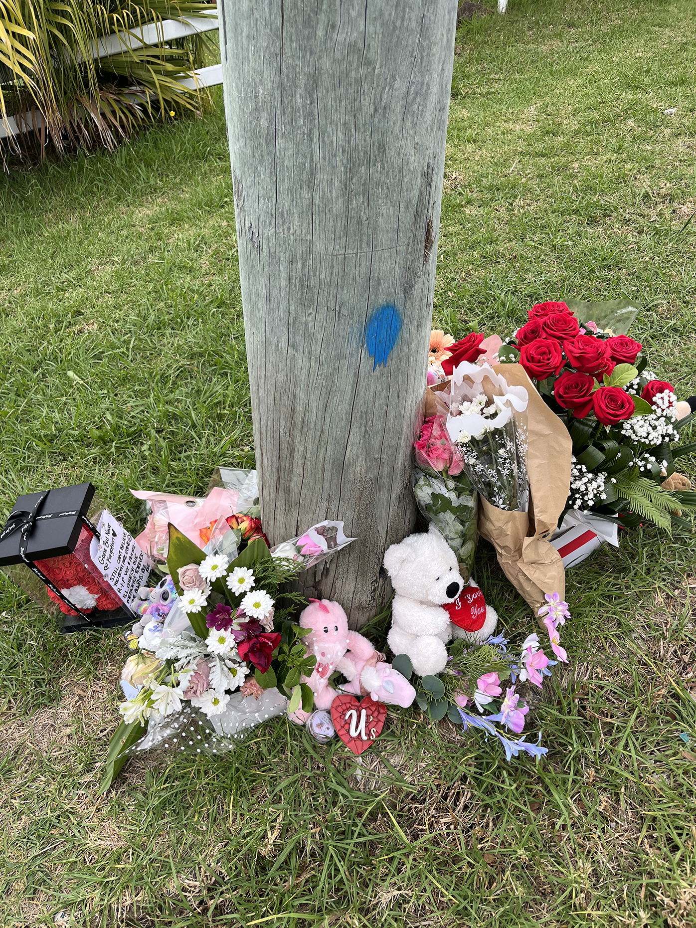 Floral tributes have grown at the scene with messages for Aurora and Veronica. 