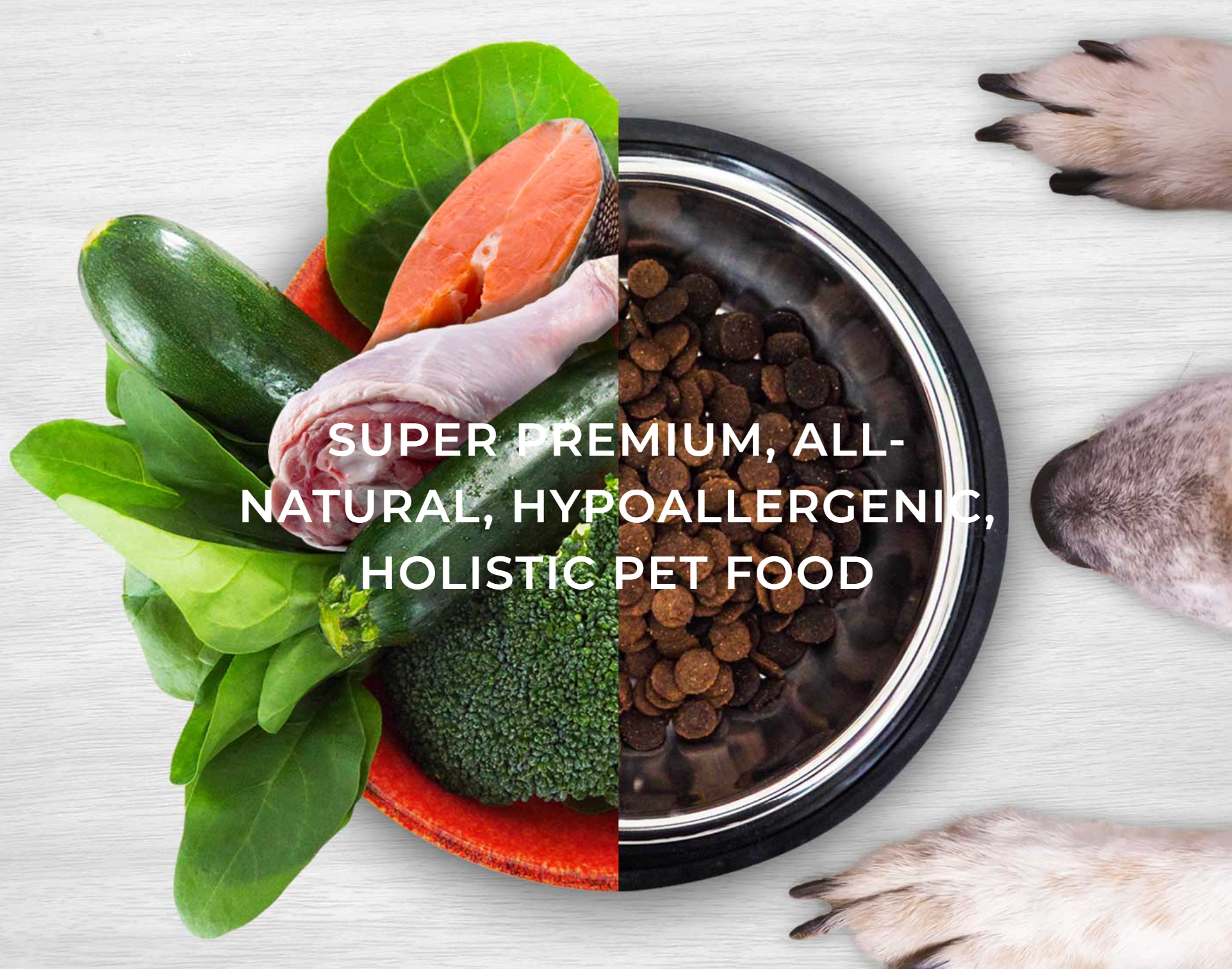 Hypoallergenic dog 2024 food australia