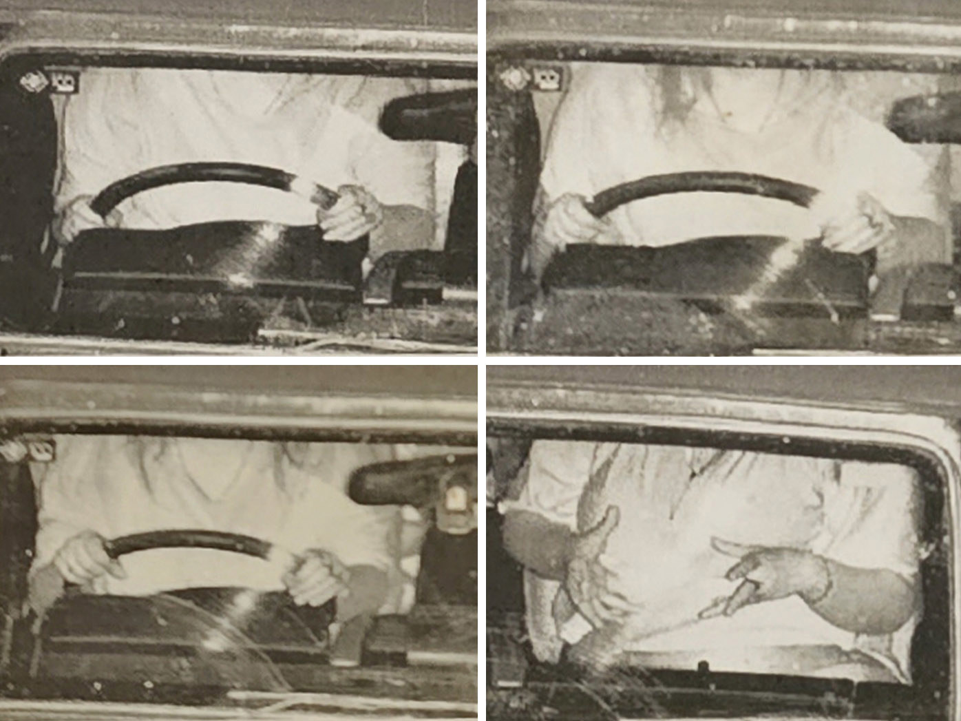 The couple copped four fines, including one for James when Tina was the passenger (bottom right).