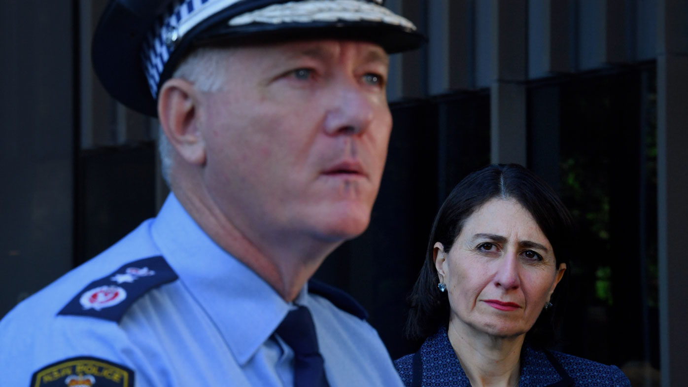 NSW Police Commissioner Mick Fuller will investigate the Ruby Princess cruise ship debacle.