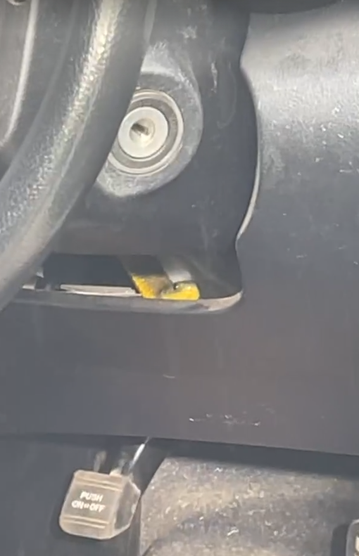 Barefoot driver's close encounter with a deadly tiger snake