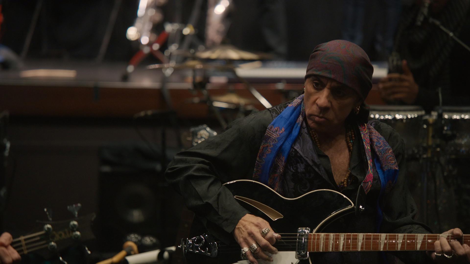 STEVEN VAN ZANDT