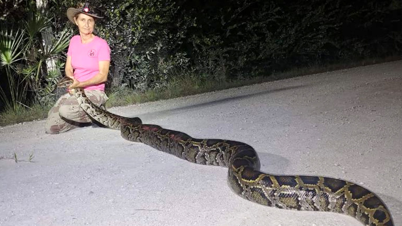 Donna Kalil holding a 4-metre python she caught with fellow python hunter Kevin Pavlidis