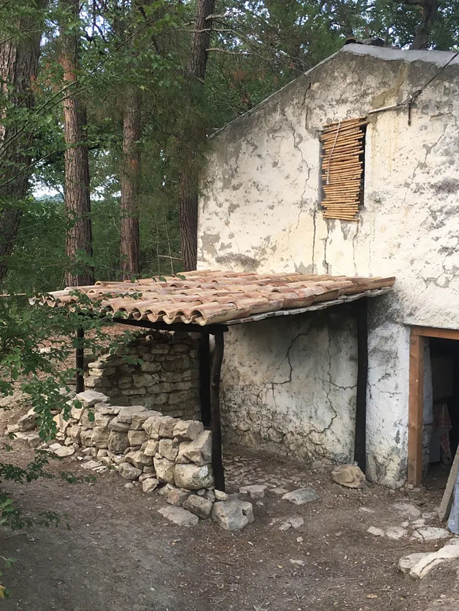 The family-of-five has been living in an Italian forest with horses, donkeys and chickens.