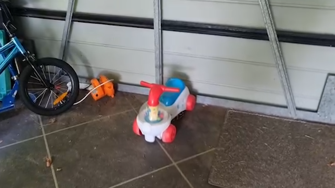 Python in garage