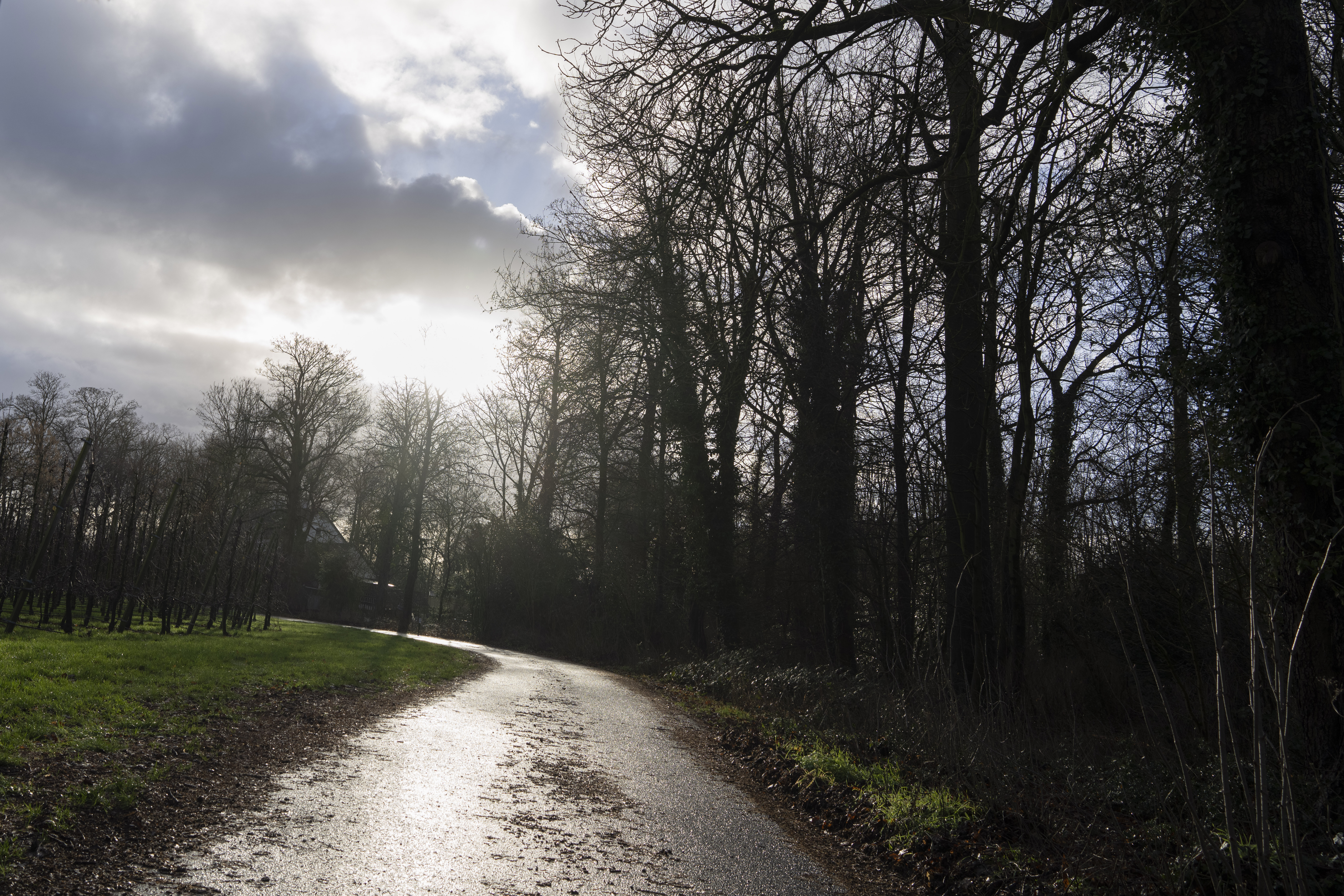 The sun reflects on the former dirt road where supposedly a Nazi loot was buried in Ommeren, near Arnhem, Netherlands, Thursday, Jan. 19, 2023. 