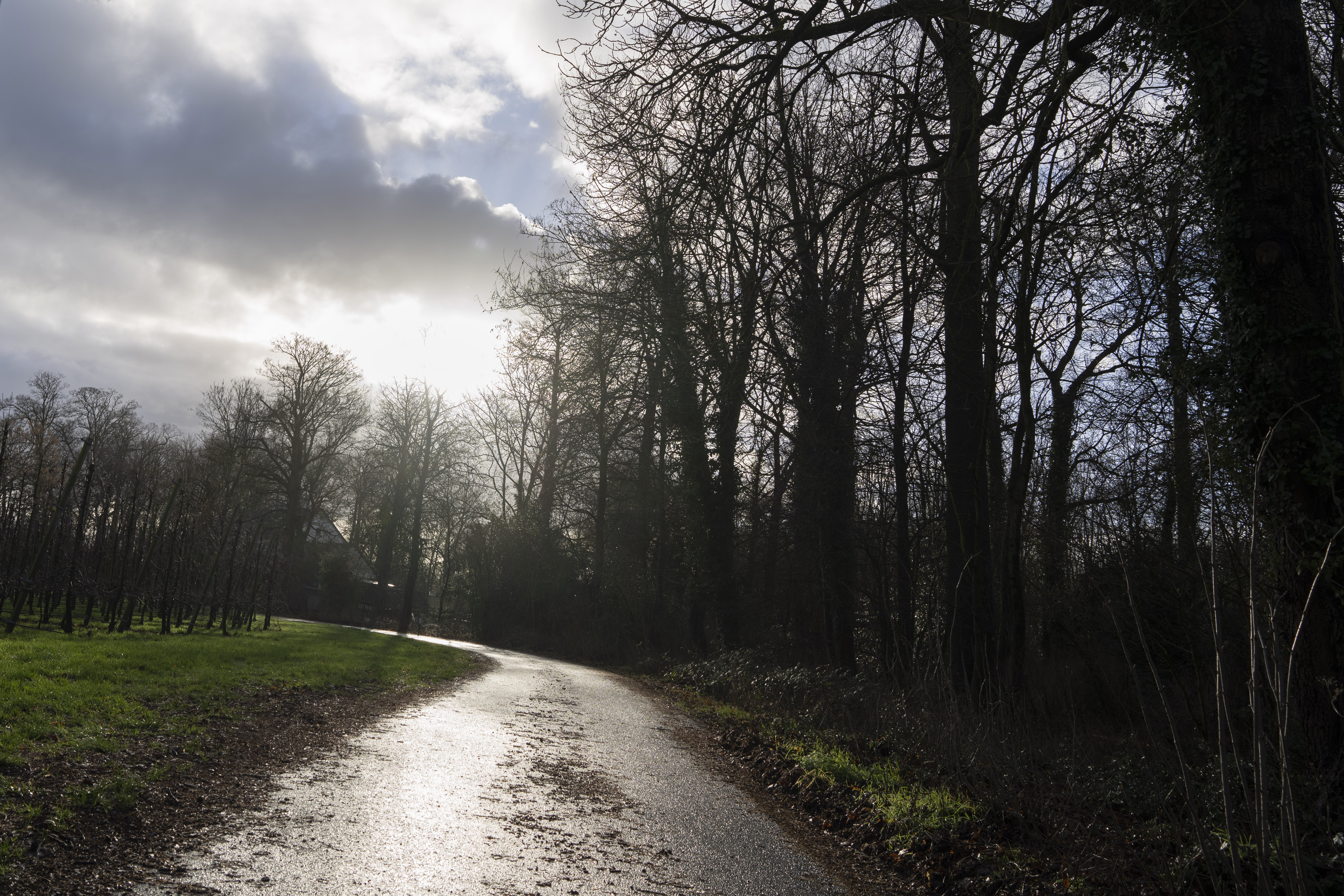 The sun reflects on the former dirt road where supposedly a Nazi loot was buried in Ommeren, near Arnhem, Netherlands, Thursday, Jan. 19, 2023.