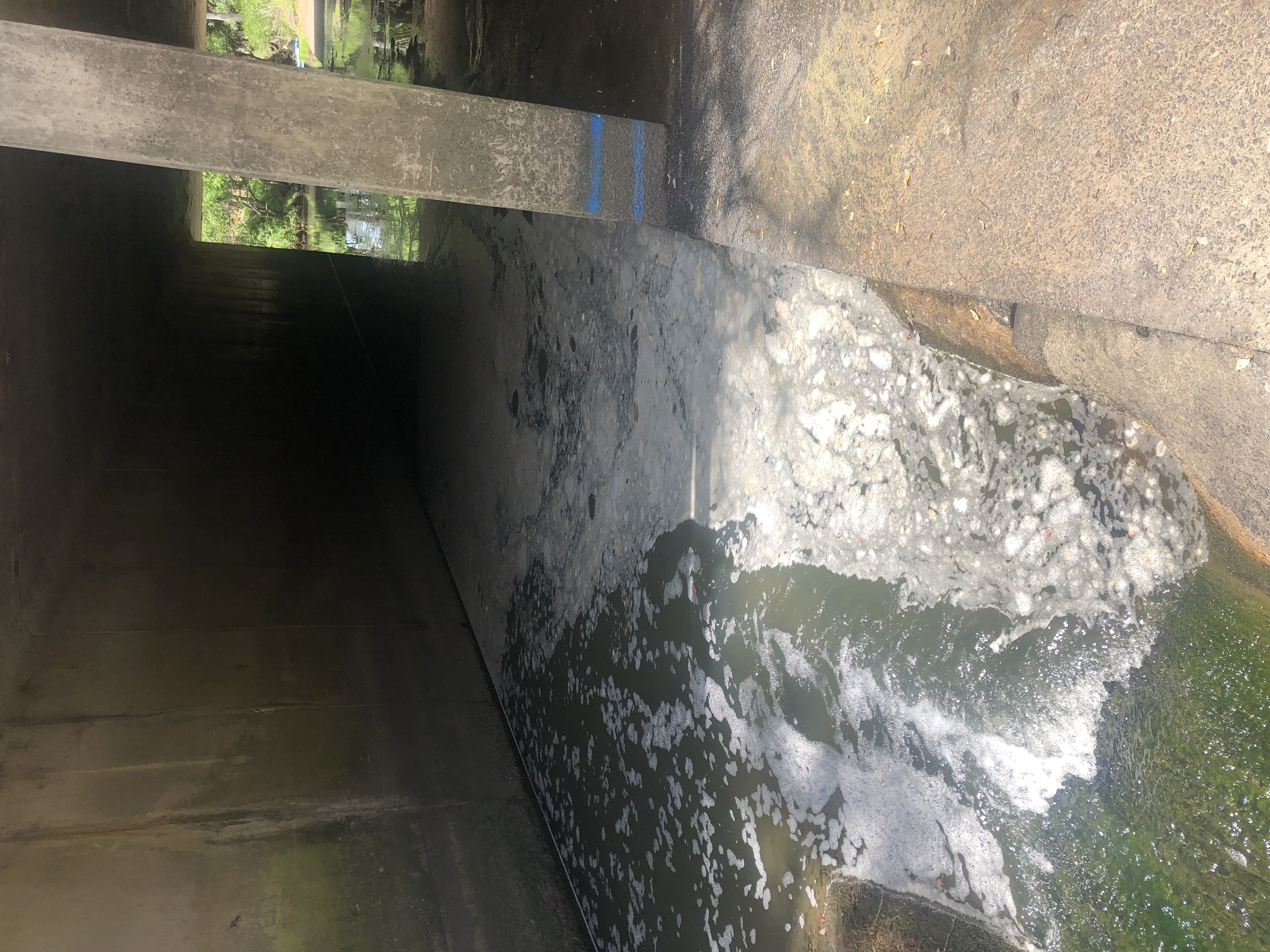 The NSW EPA said a blocked trade waste drain on-site led to 1000L to 5000L of contaminated wastewater escaping from a stormwater drain and entering the Cooks River.