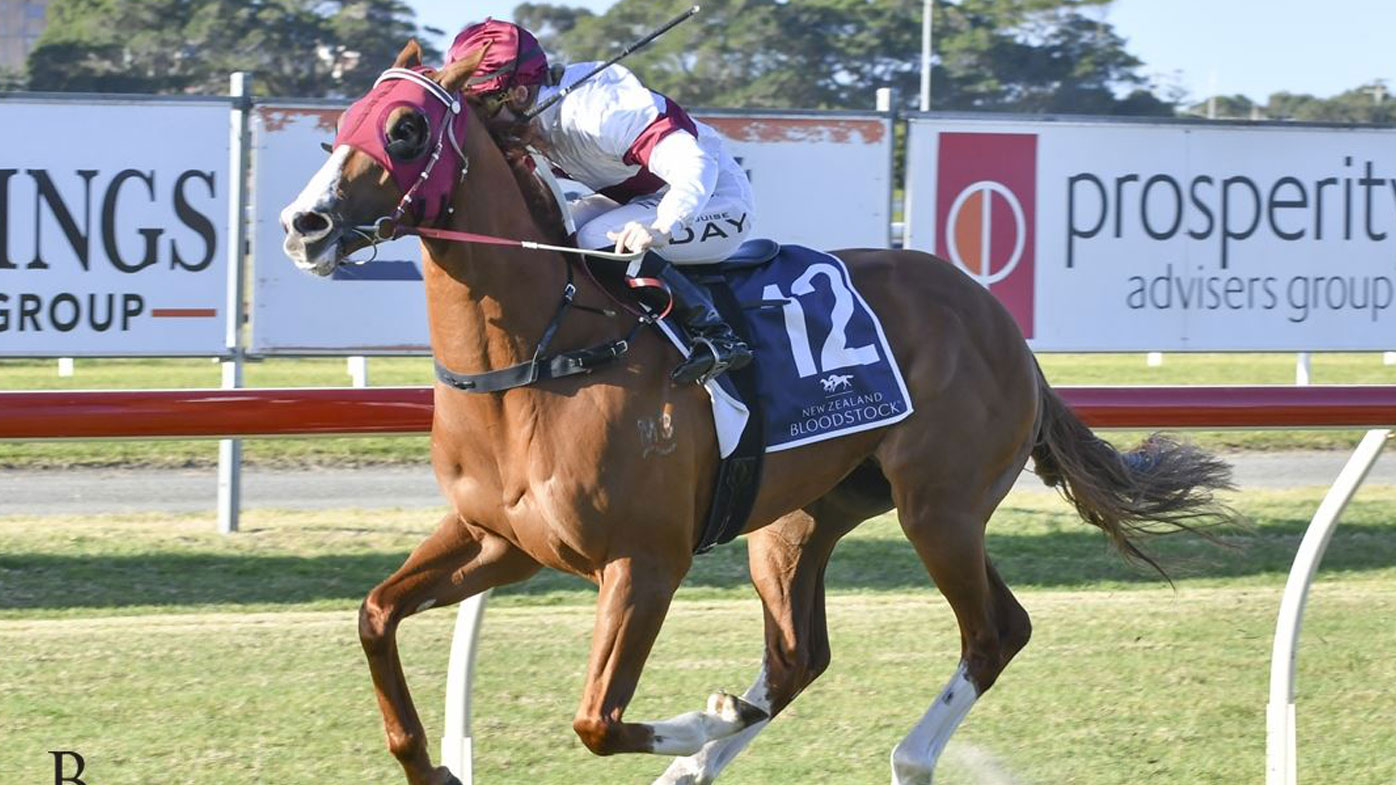 Morethannumberone put for sale due to 'abnormally large testicles'