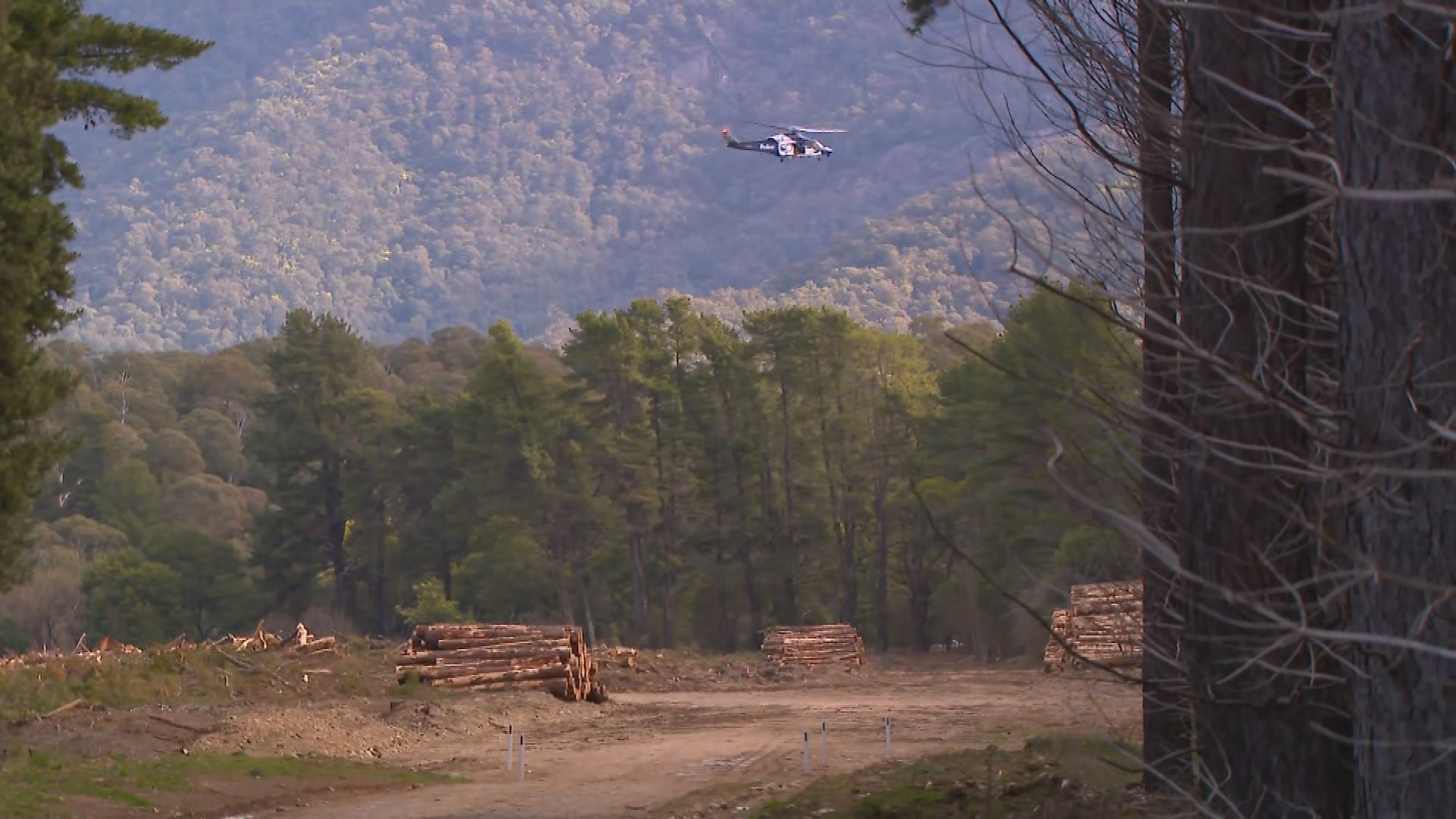 Police helicopter in Porepunkah