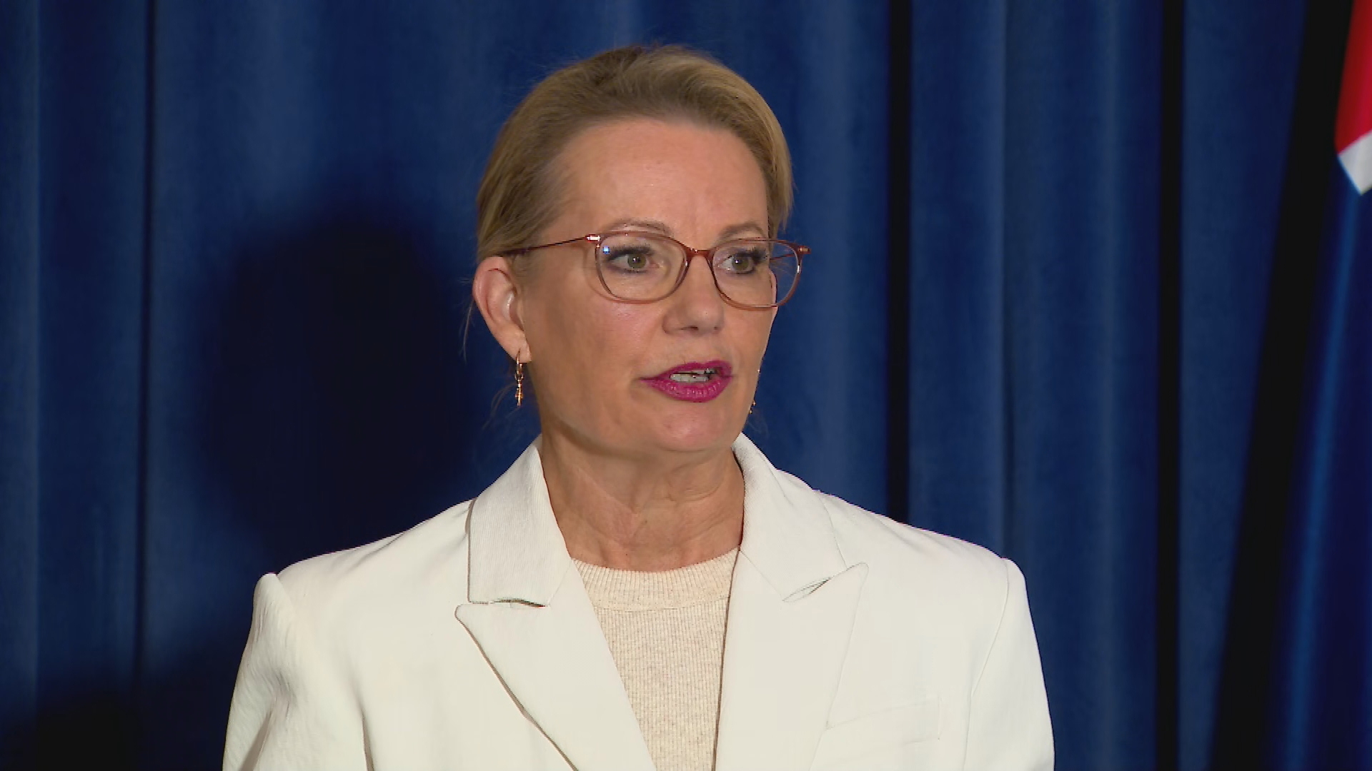 Liberal leader Sussan Ley ﻿said she was disappointed with the split from the Nationals.