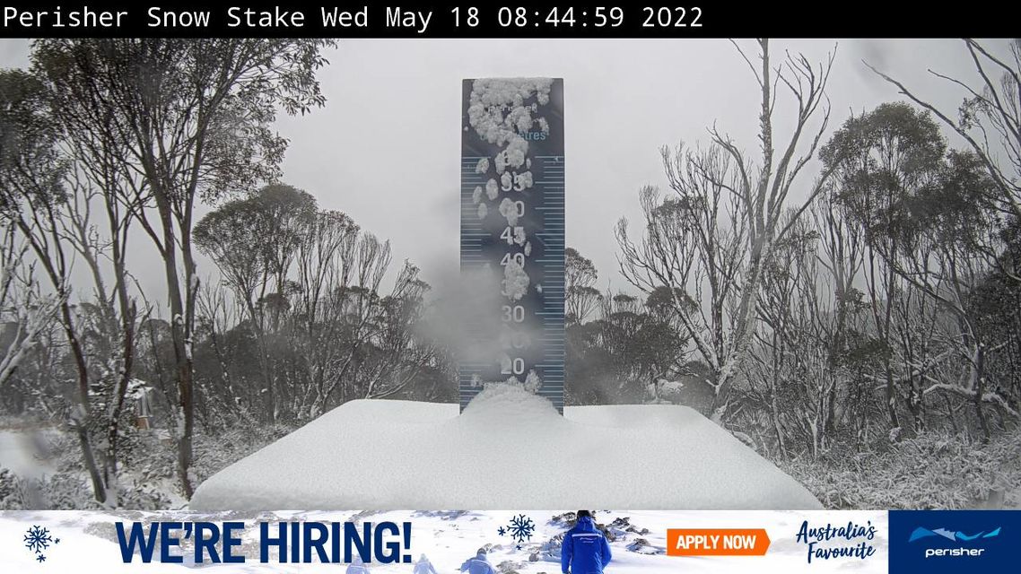 Perisher Ski Resort recorded 11cm of snow yesterday. 