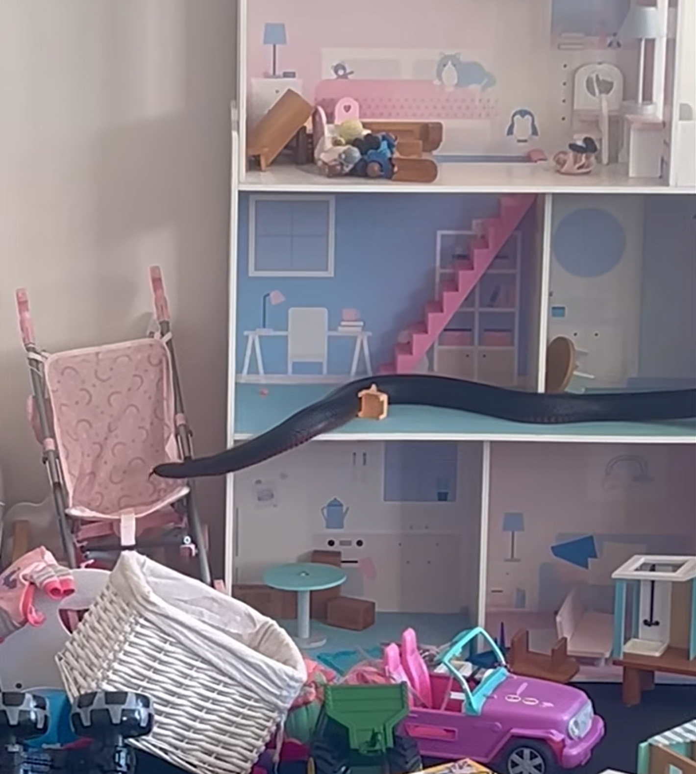 A﻿ family were left shaken after a 1.6-metre red-bellied black snake got cosy in their children's playroom in Sydney's south. 