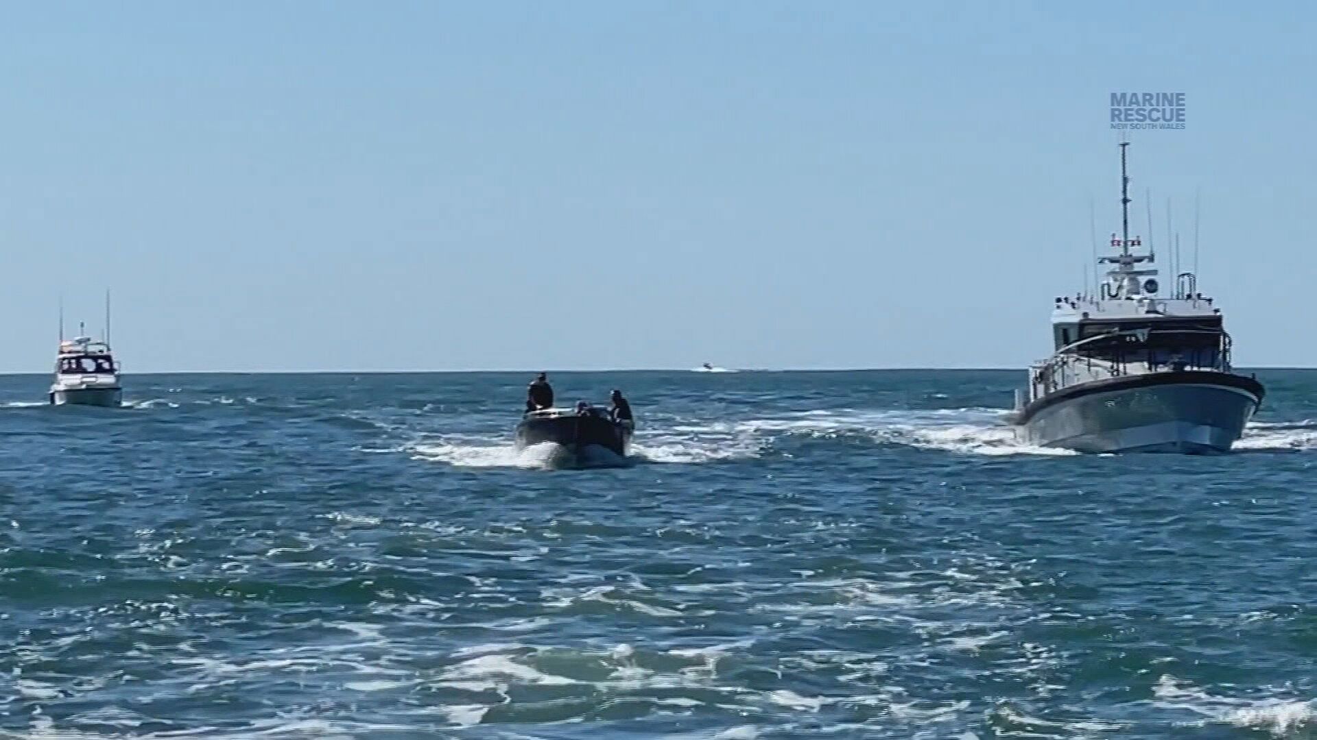 A﻿ fisherman i﻿s recovering in hospital after being struck by a whale in a freak accident off the Gold Coast