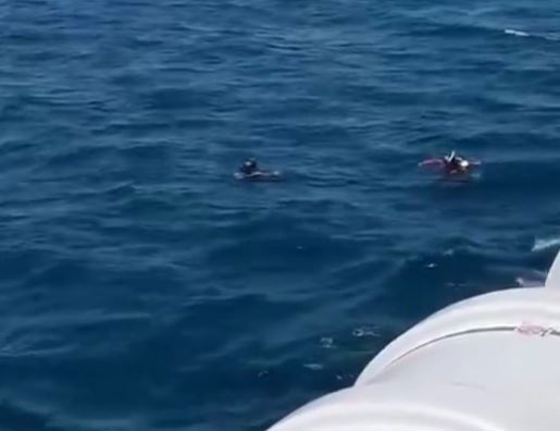 Scuba divers allegedly left behind