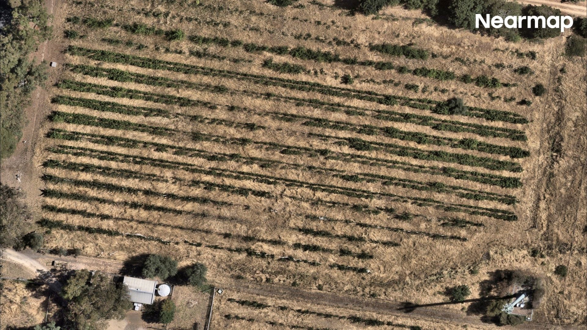 Harcourt on December 29, 2025.