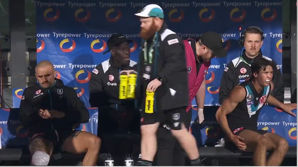A devastated Port Adelaide bench with Aliir, Powell-Pepper and Rozee all off injured.