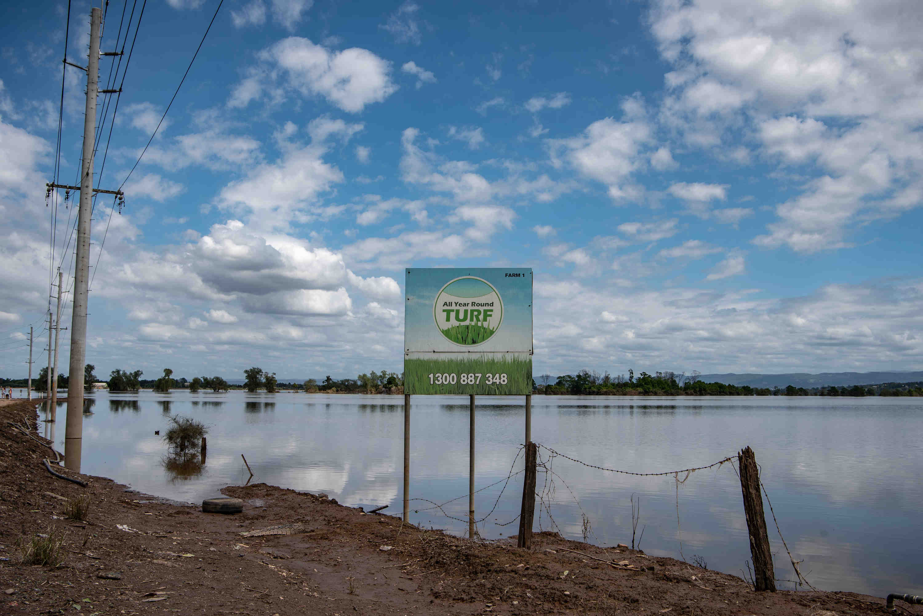 A sign a sign indicating ÔAll year around turfÕ in front of an area affected by floods in the suburb ofÊ Wilberforce on March 11, 2022. Residents are beginning to return to their homes across NSW to assess the damage following unprecedented flooding across Australia's east coast. Photo: Flavio Brancaleone/The Sydney Morning Herald
