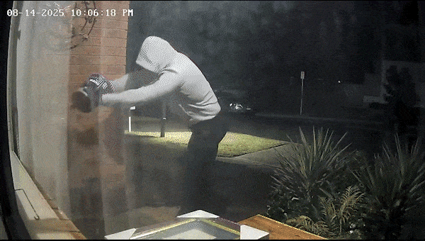 Manhunt for hooded arsonists after Sydney home firebombed