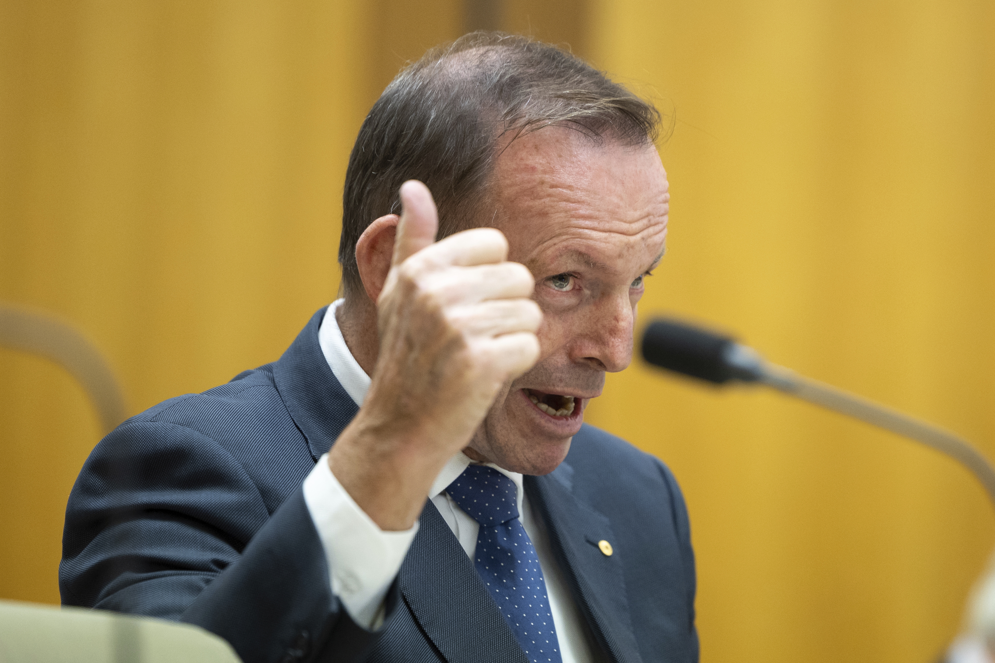 Former Prime Minister Tony Abbott in parliament