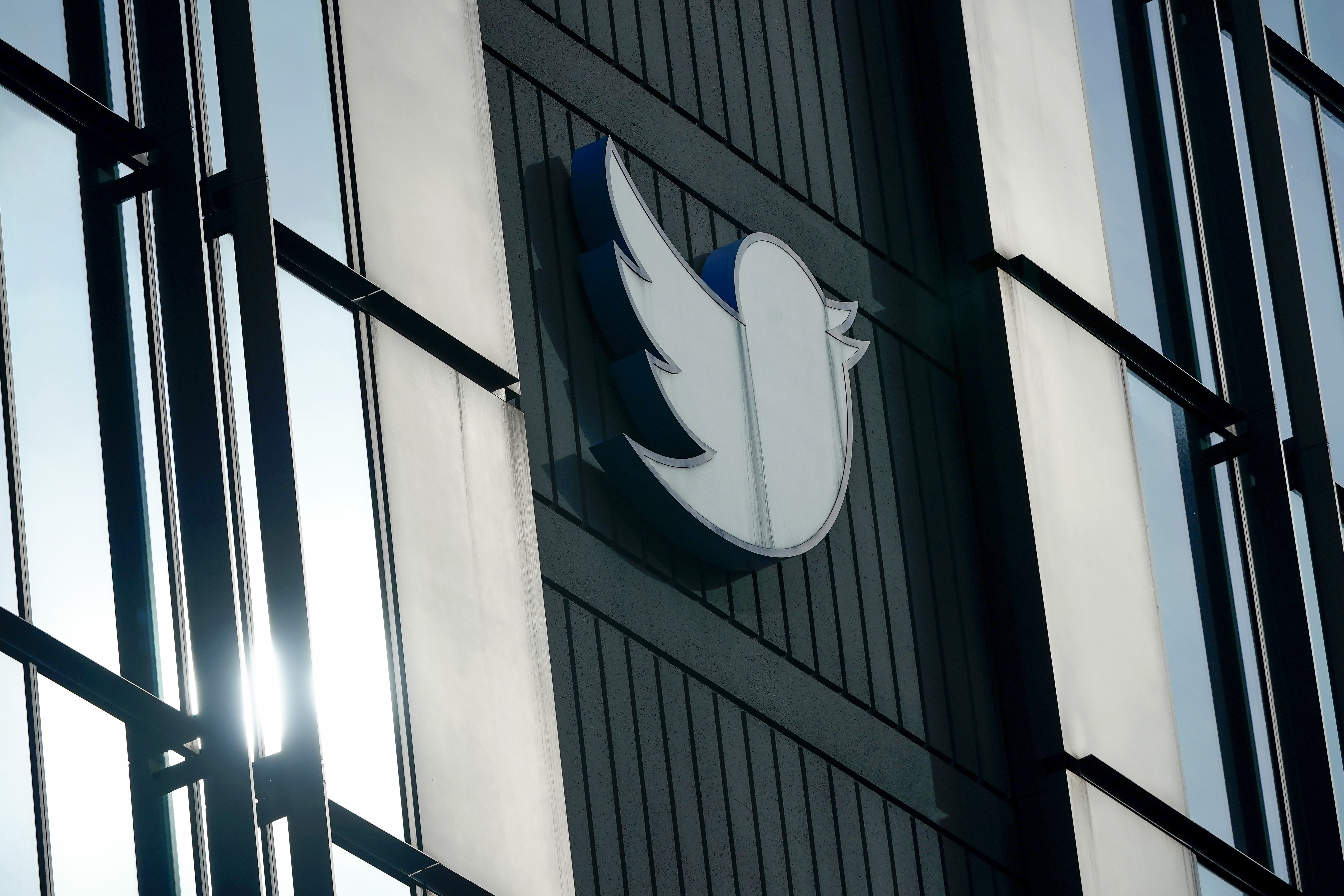Twitter's next CEO will be a woman, Elon Musk says