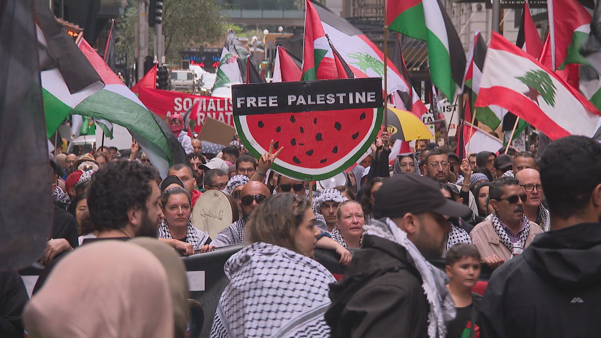 Pro-Palestine rallies