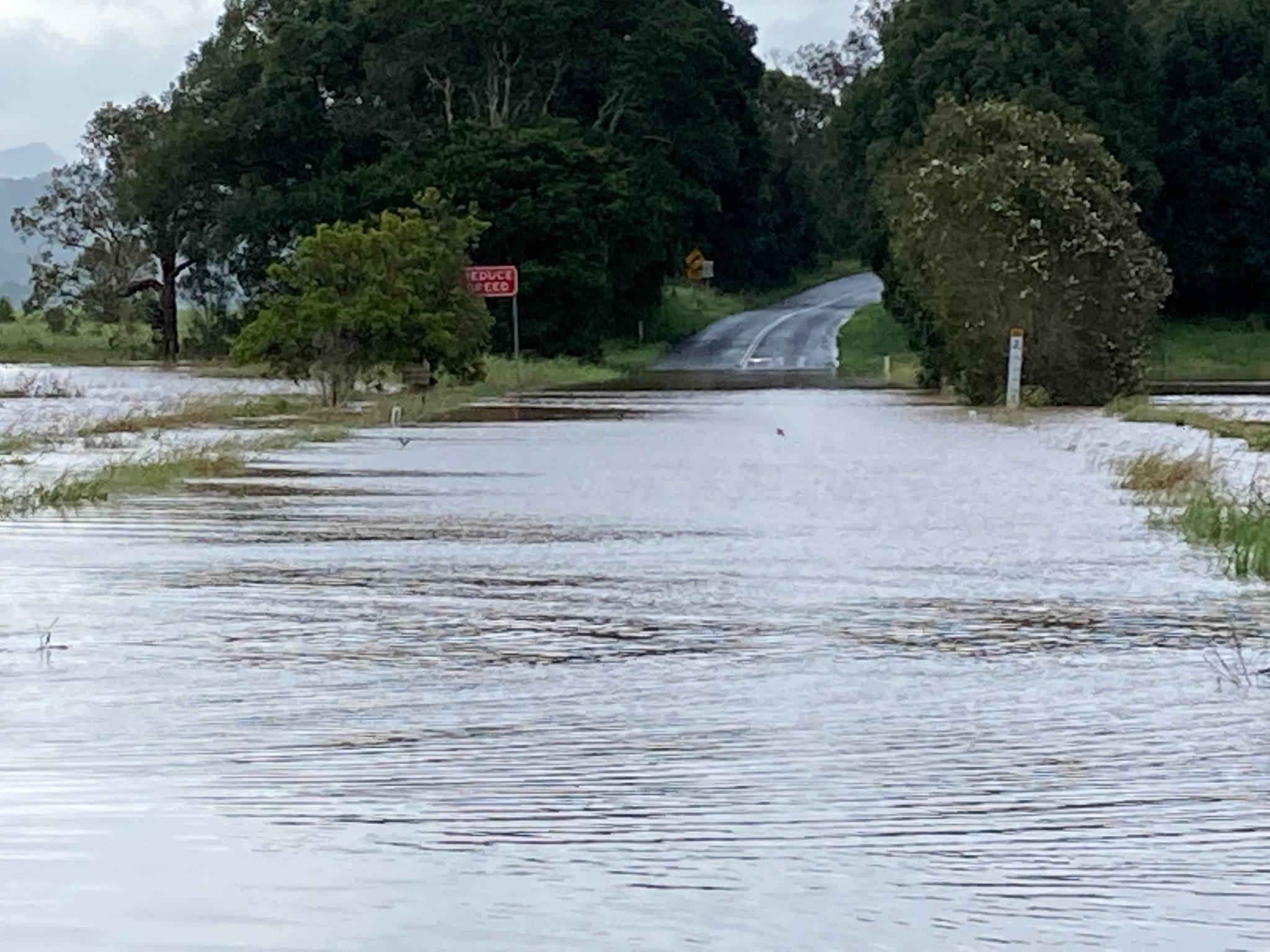Several flood warnings are in effect for NSW.