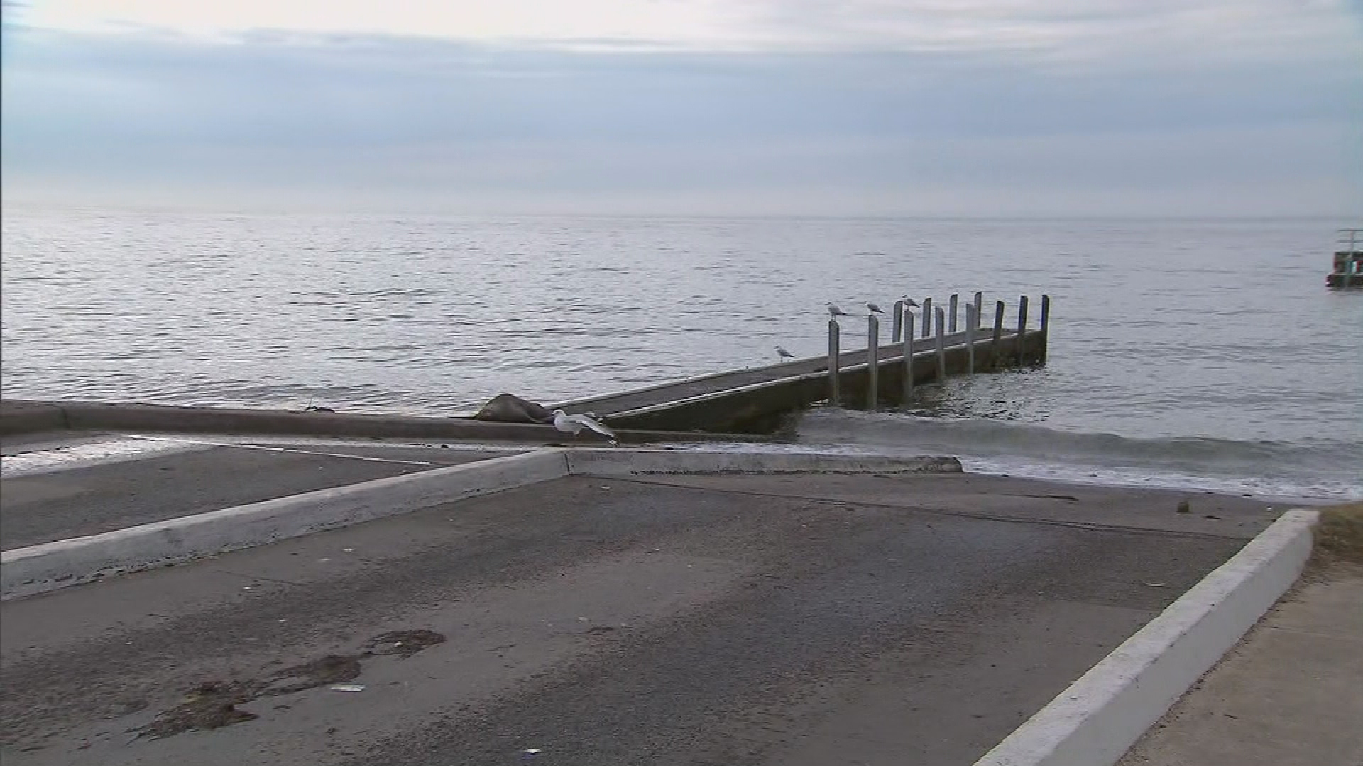 Victorian community divided by seal squatting on boat ramp.
