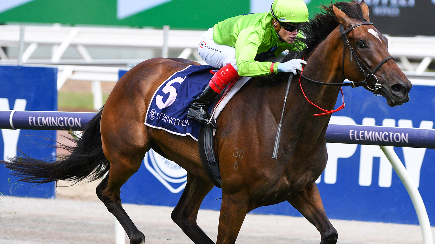 Tralee Rose, seen here at Flemington in January, had to be treated after being galloped on in the Melbourne Cup.