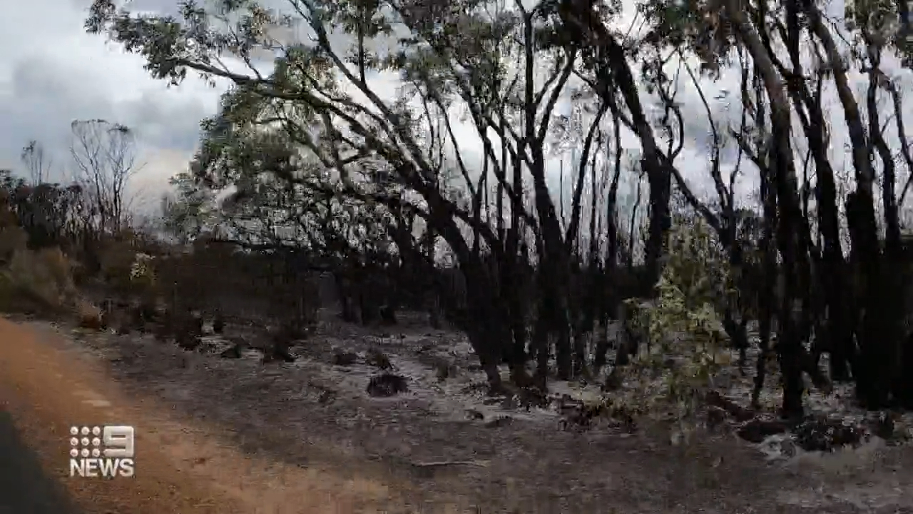 WA bushfires continues to burn as police suspect blaze started by arsonists