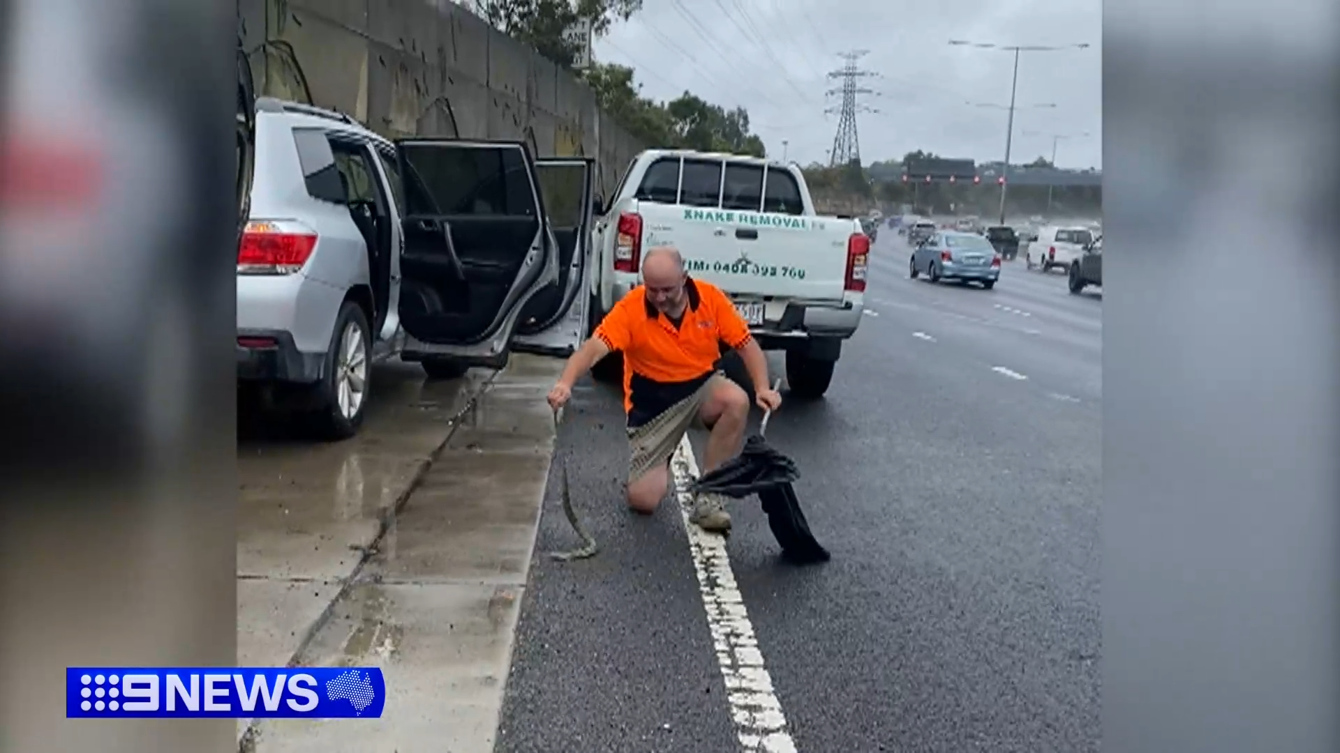 A driver felt something on her foot and looked down to find the fourth most venomous snake in the world had hidden itself in her car.