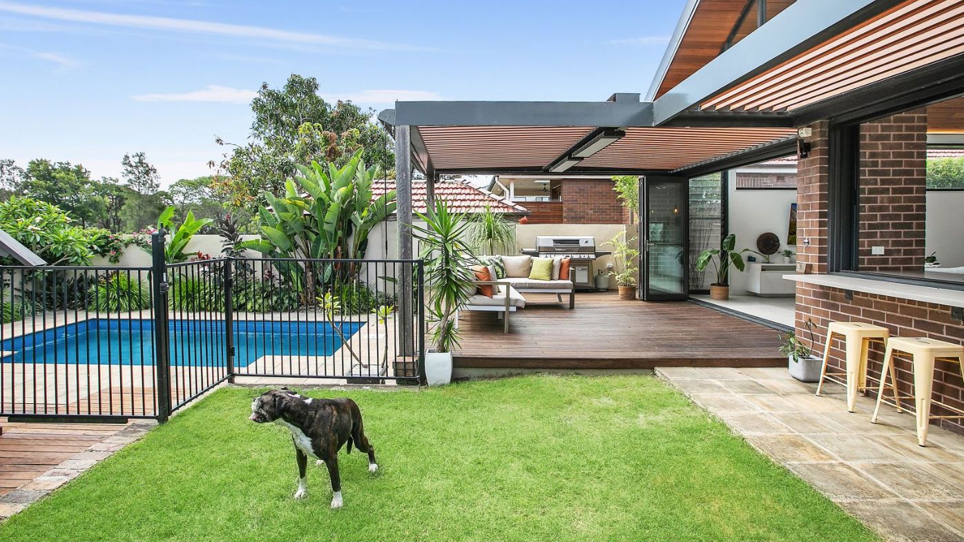 House dog garden backyard pool Domain