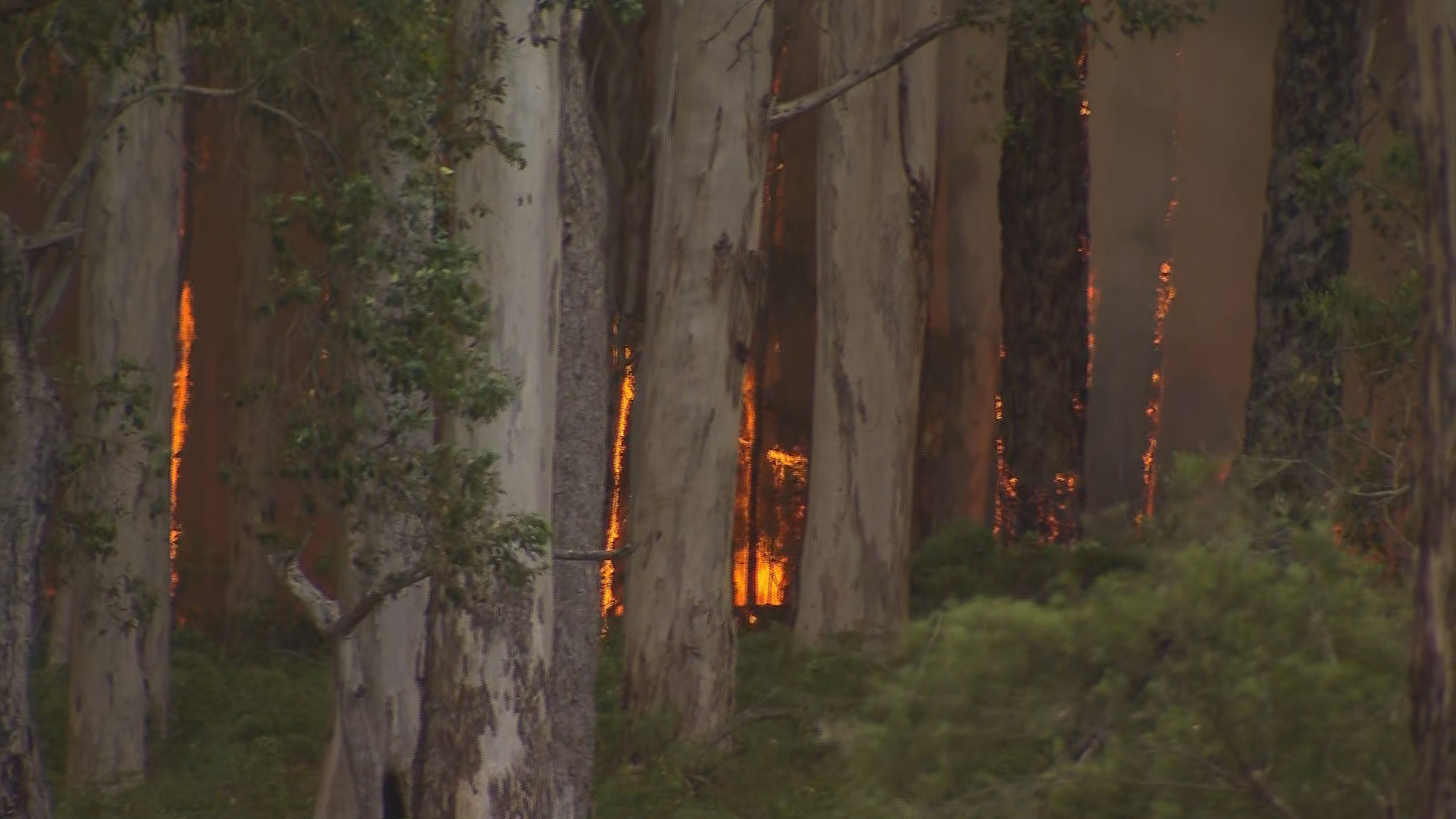 Bushfires are continuing to rage across parts of the Augusta-Margaret River Shire in Western Australia. 