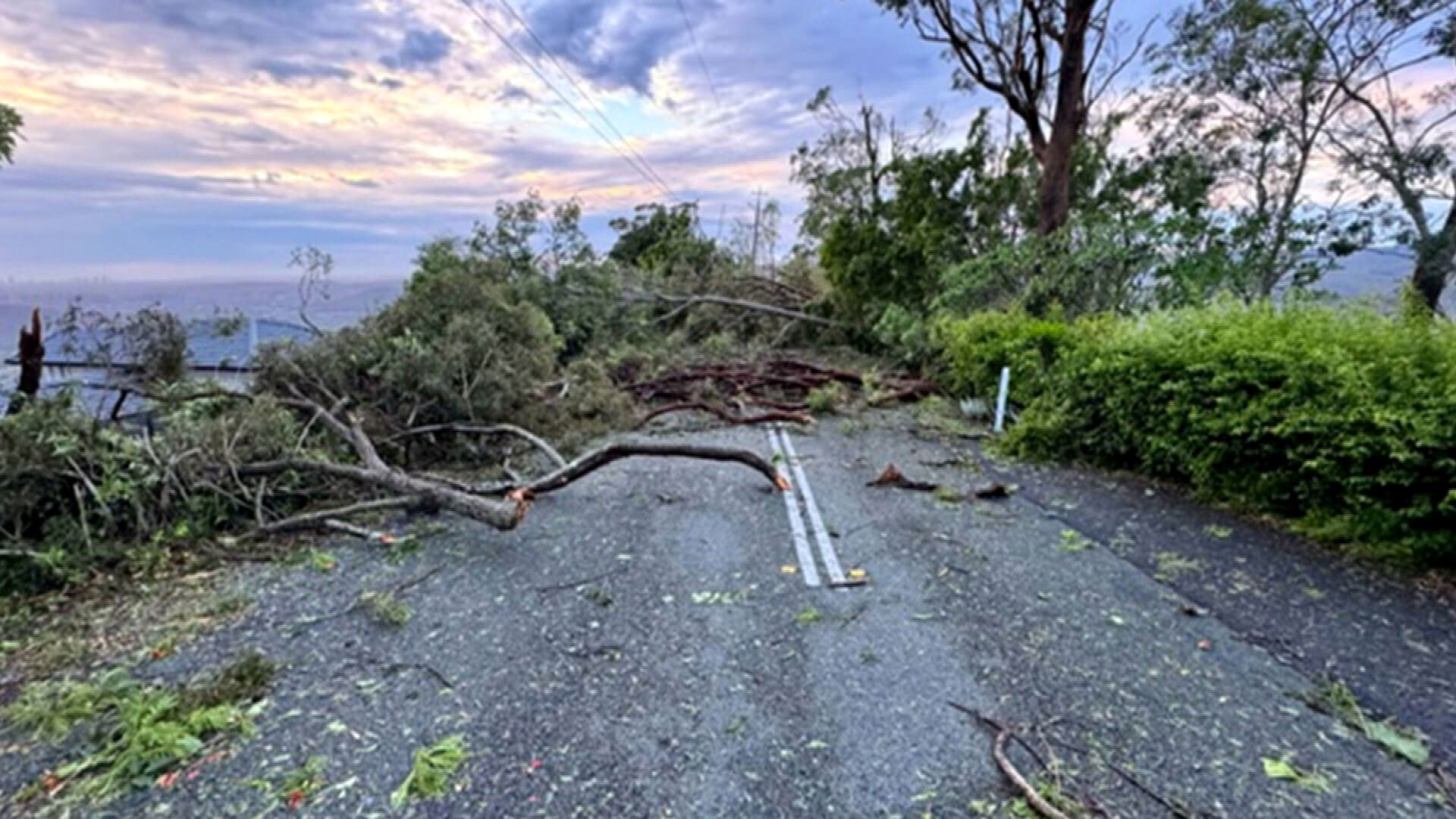 Tornado-like winds ripped out trees and knocked down power lines in south-east Queensland