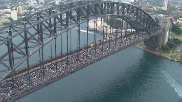 Police feared 'perilous situation' as 90,000 joined pro-Palestine march on Harbour Bridge