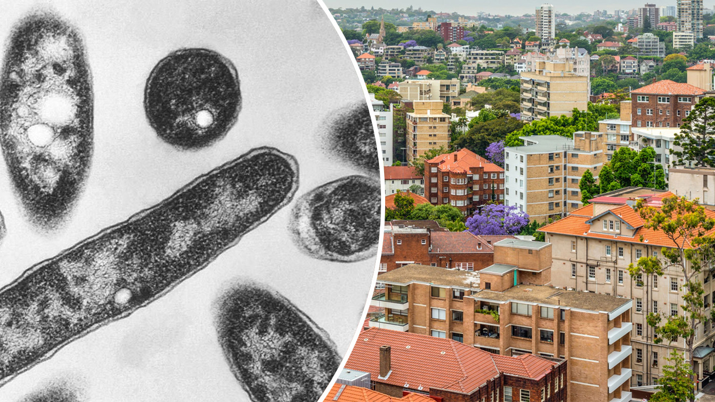 Health warnings after deadly disease outbreak in Sydney suburb
