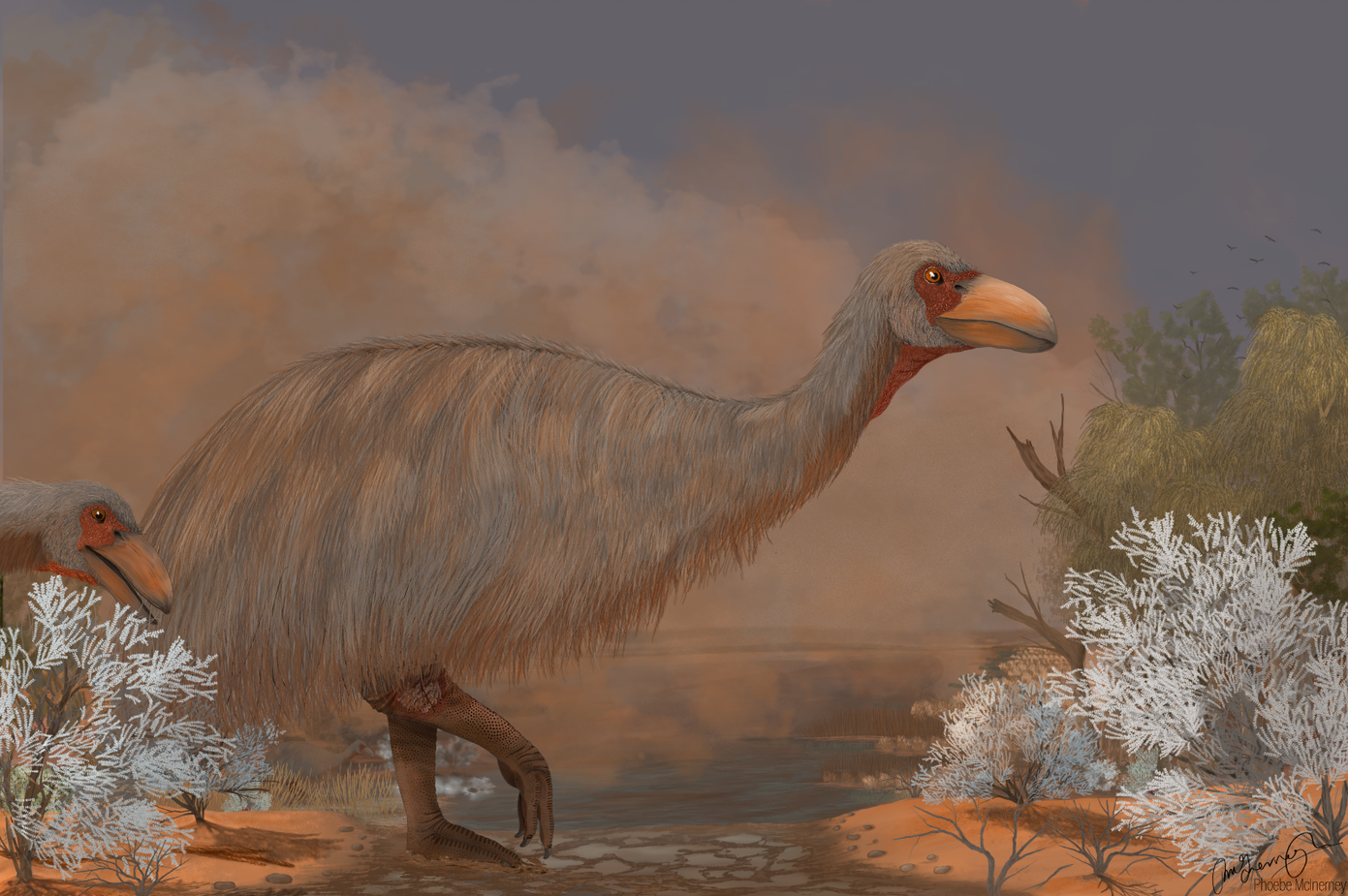 Megafauna