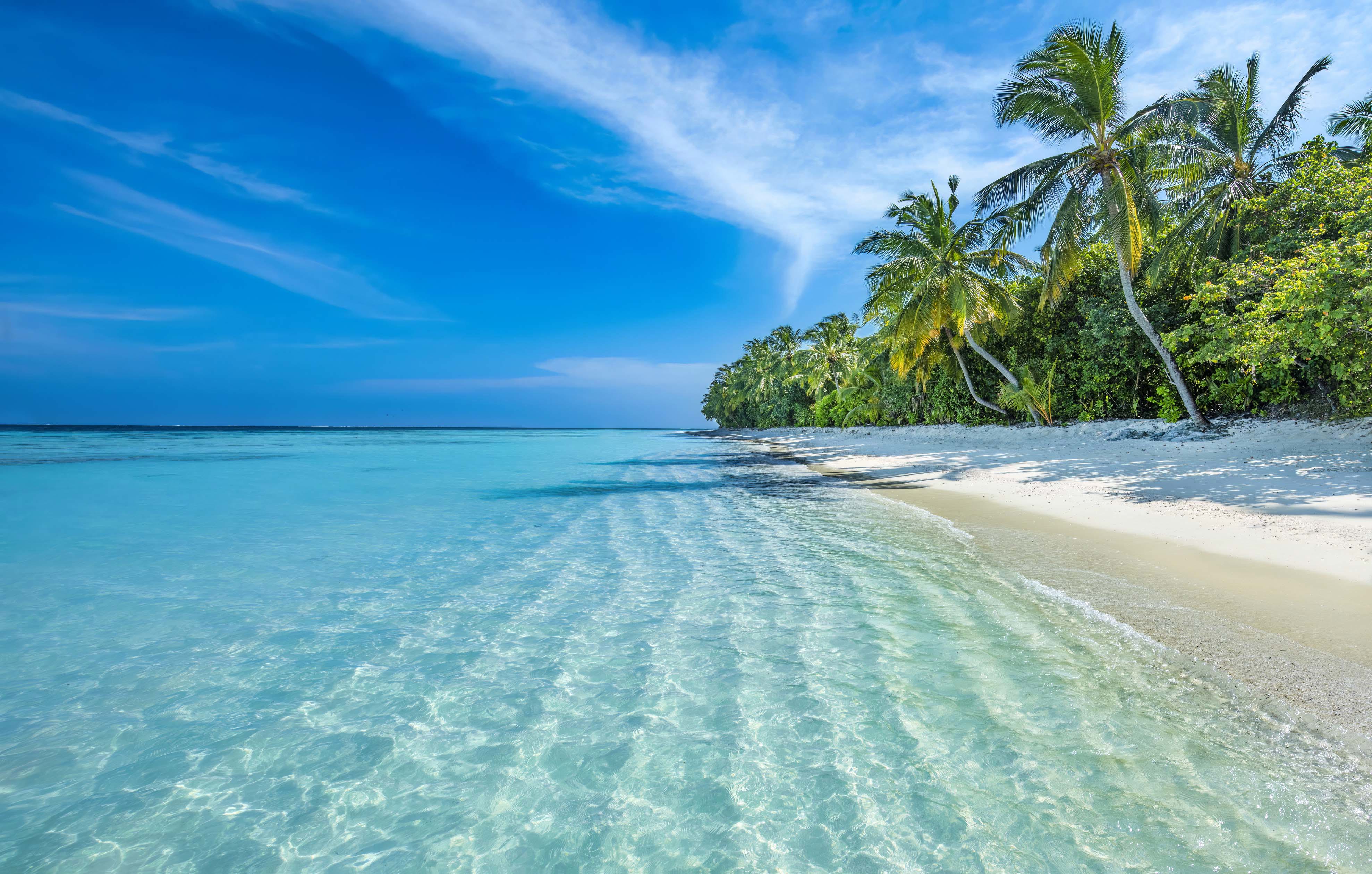The Maldives