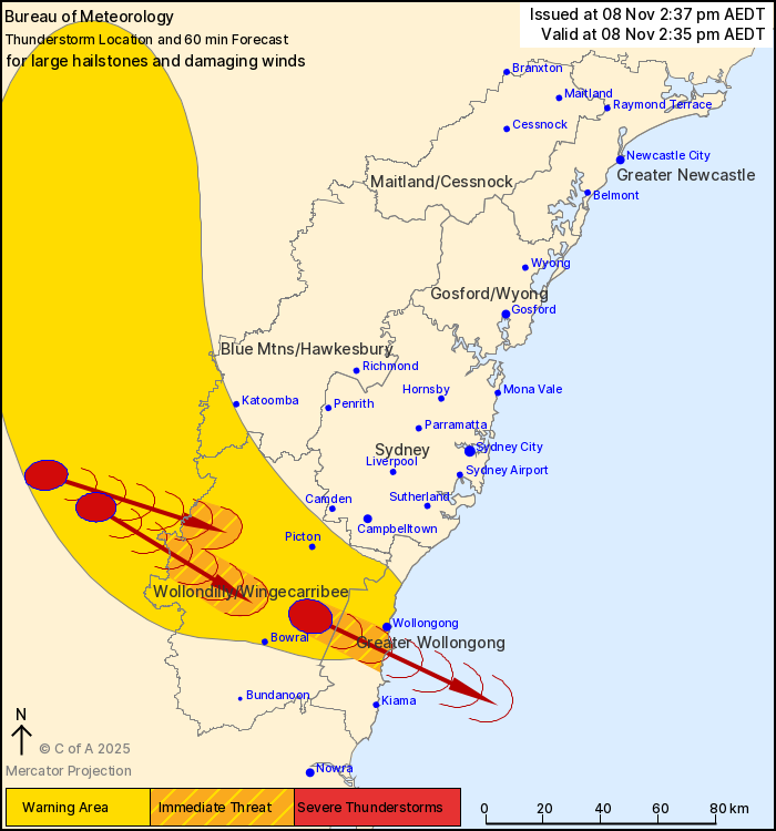 A severe thunderstorm warning has been issued for parts of the Wollondilly, Wingecarribee ﻿and greater Wollongong areas.