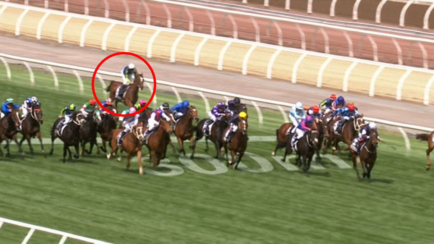 Melbourne Cup horse deaths How many horses have died in the race or