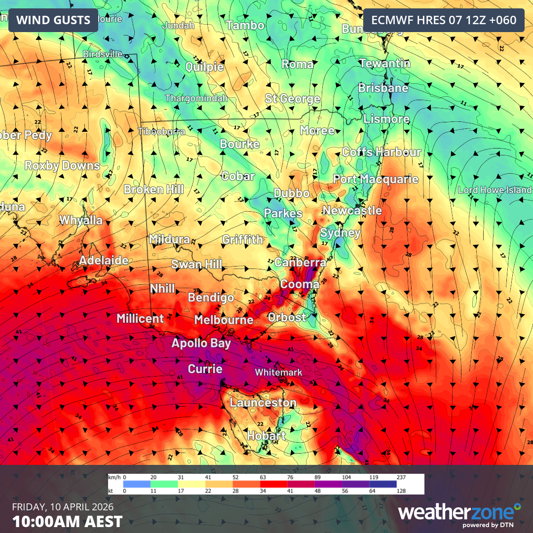 Predicted maximum wind gusts 10m above ground level for Australia's south-east at 10am this Friday.