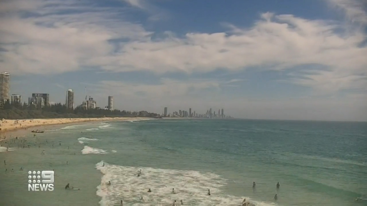 Beach-goers warned to be on the lookout for sharks as sightings are expected to increase along the gold coast