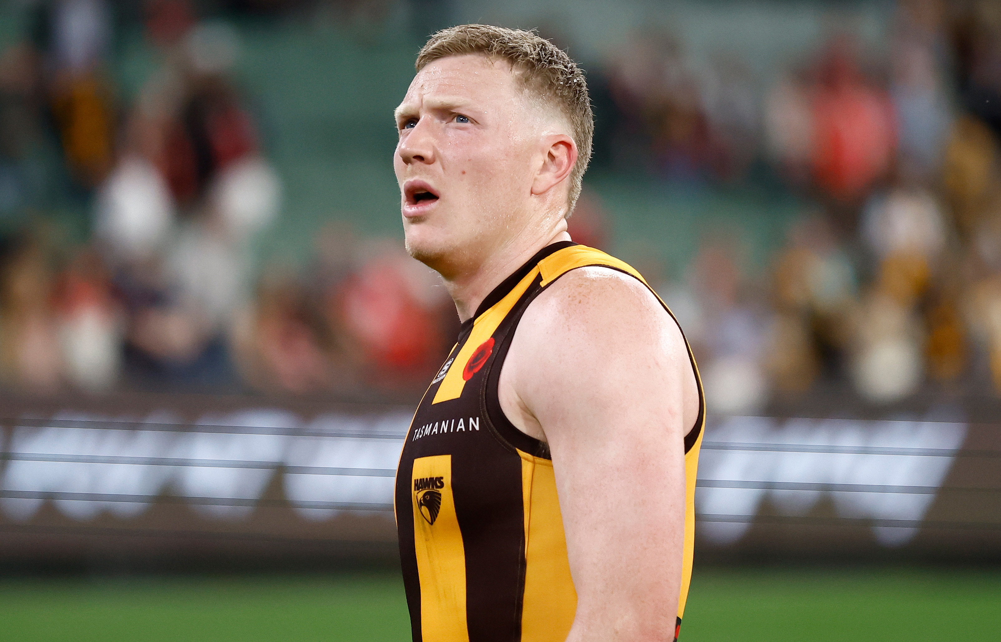 Afl News 2024: Hawthorn Captain James Sicily Under Fire, 1-6 Start 