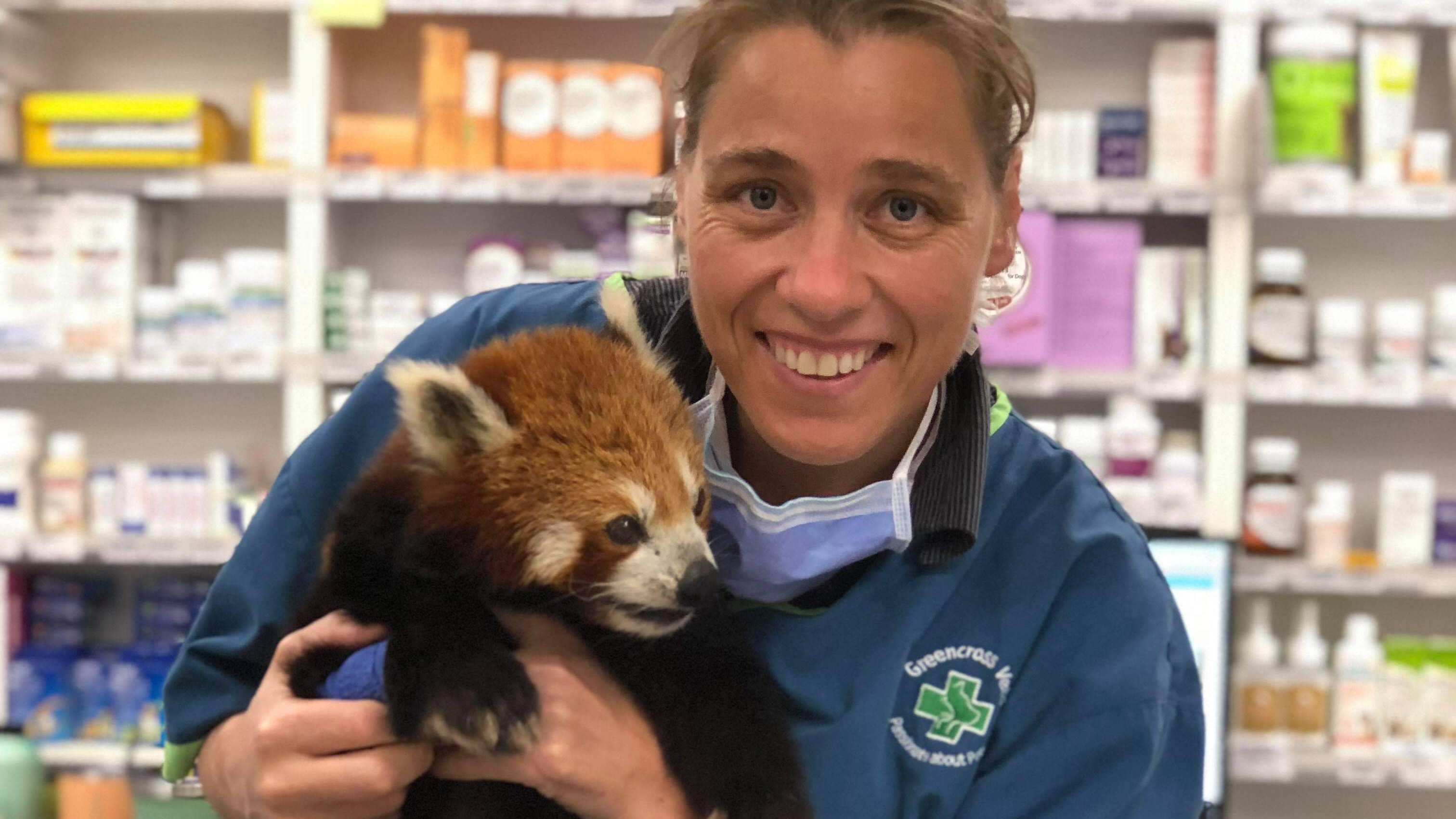 Dr Sarah Morton says people's perceptions of vets need to change.