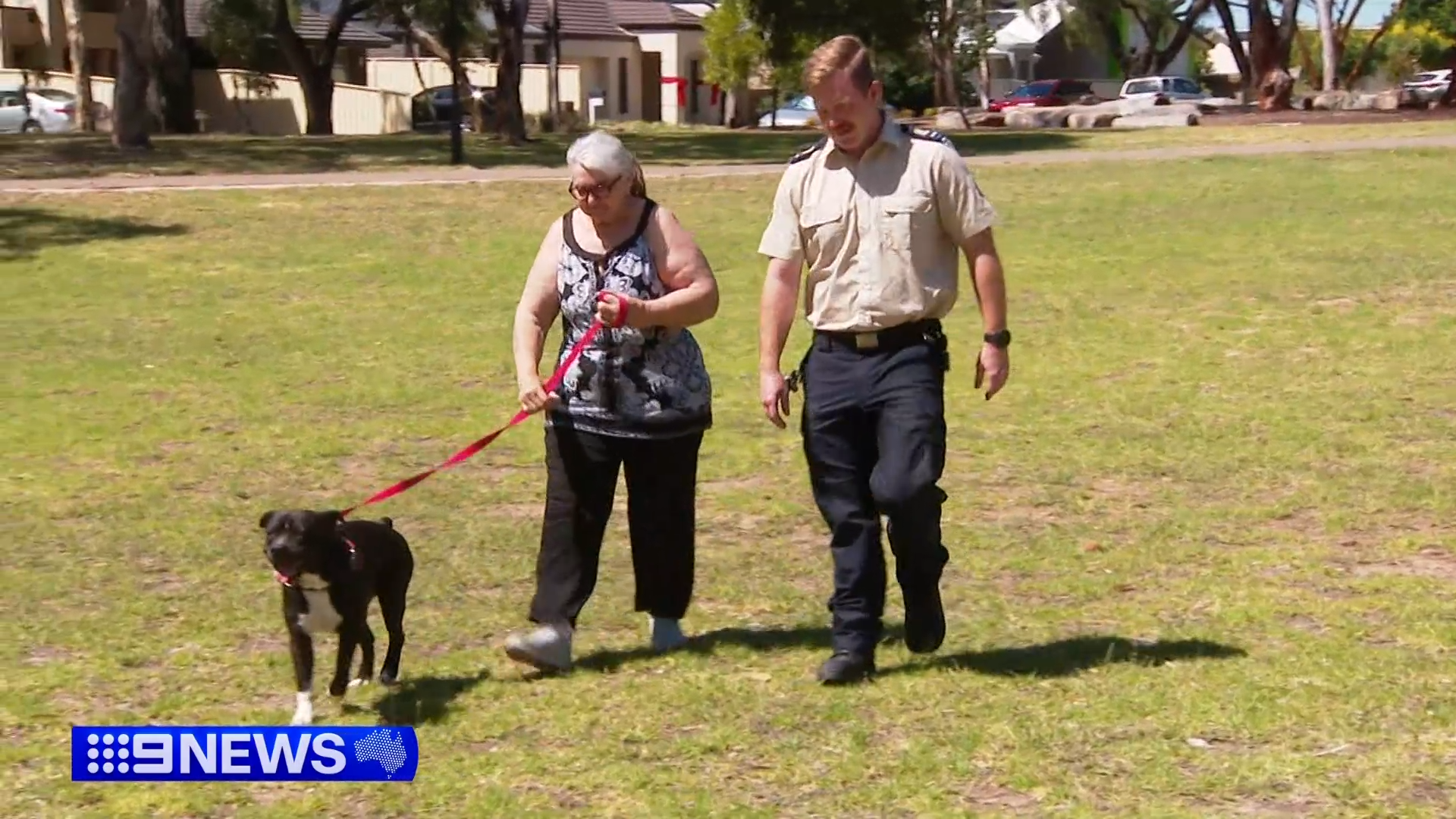 There has been an emotional reunion today between a dog named Woodstock and the RSPCA inspector who saved his life, rescuing him from a filthy home last year only days from Woodstock likely starving to death.