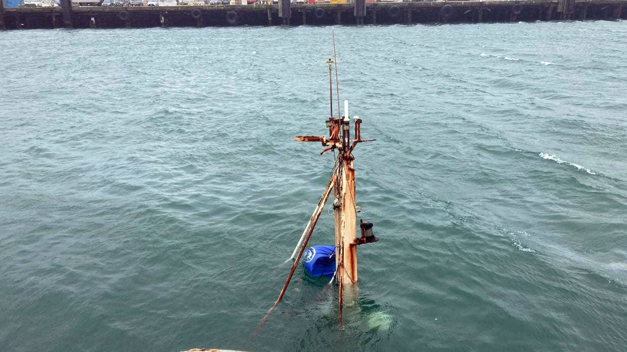 Person aboard New Zealand's famous Sealion walks off as it sinks