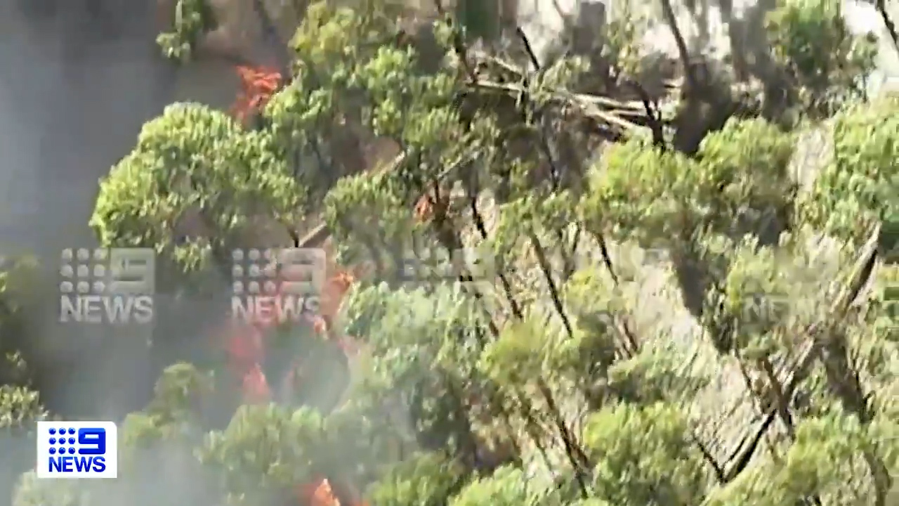 One firefighter has died and another has been seriously injured while battling a major bushfire in South Australia's south-east.