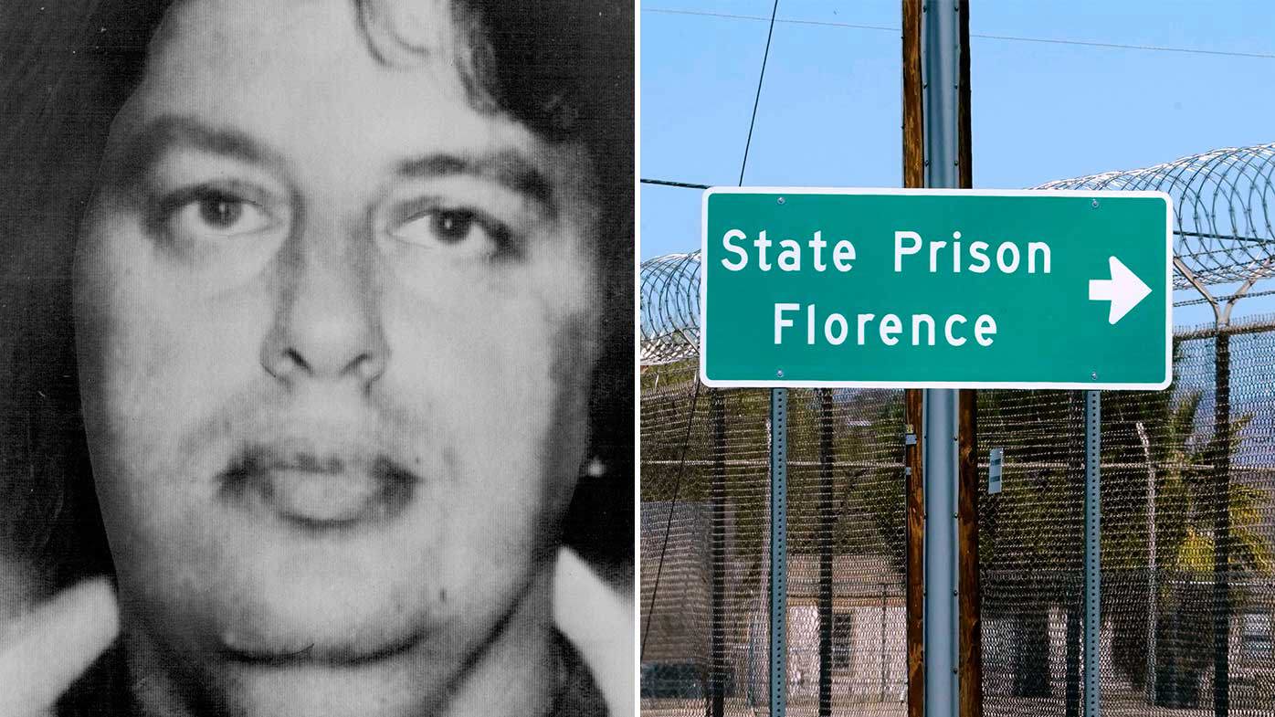 The Conman as a Mirror Why 104 Failures Reveal More About Us Than Him