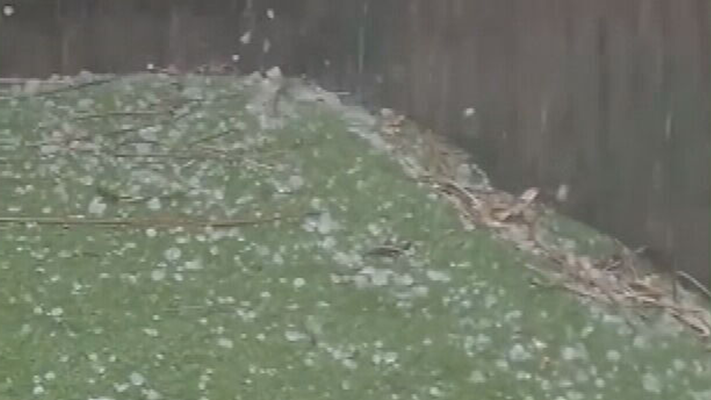 Brisbane storm hail