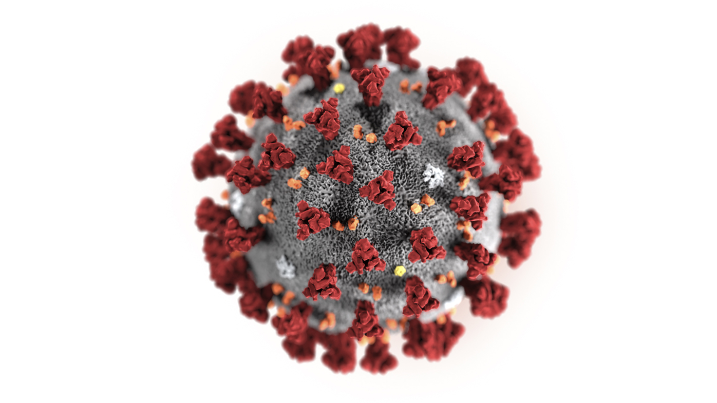 The 2019 Novel Coronavirus (2019-nCoV) has been identified as the cause of an outbreak of respiratory illness first detected in Wuhan.